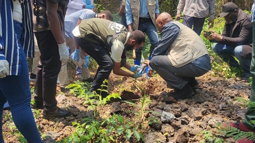 Reboisement au site de l'ULPGL - Goma par le PCA du Groupe Utalii Kwetu, Mr Veridique Musambaghani.